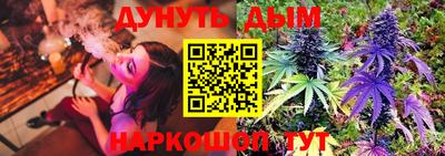 мдпв Жуковский